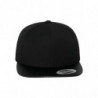 Casquette carbon snapback